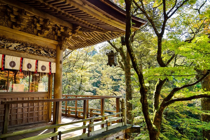 Japanese Elegance