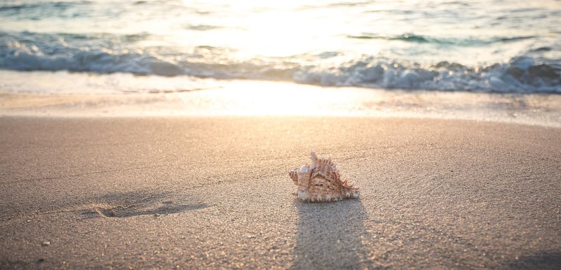 Summer Beach