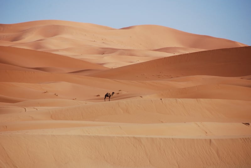 Moroccan Magic